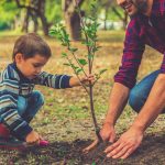 آموزش درختکاری به دانش آموزان