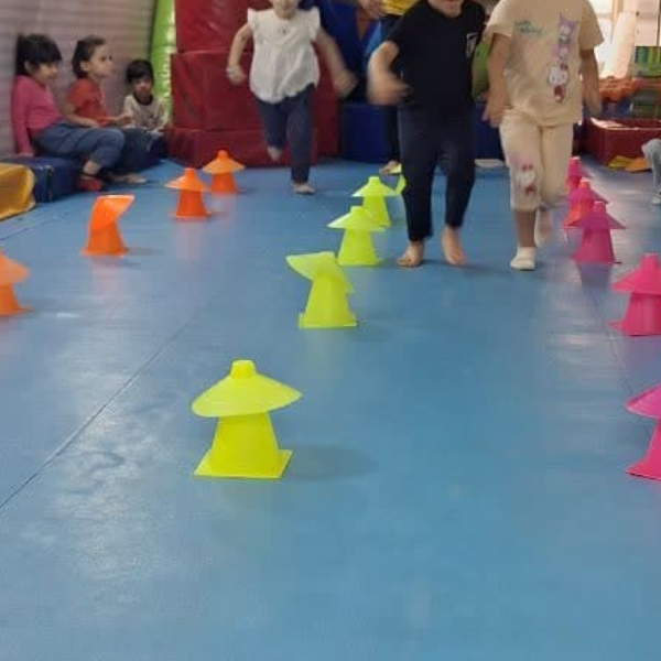 حرکتی هیجانی