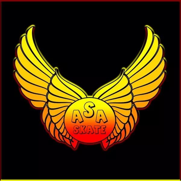 آکادمی اسکیت آسا