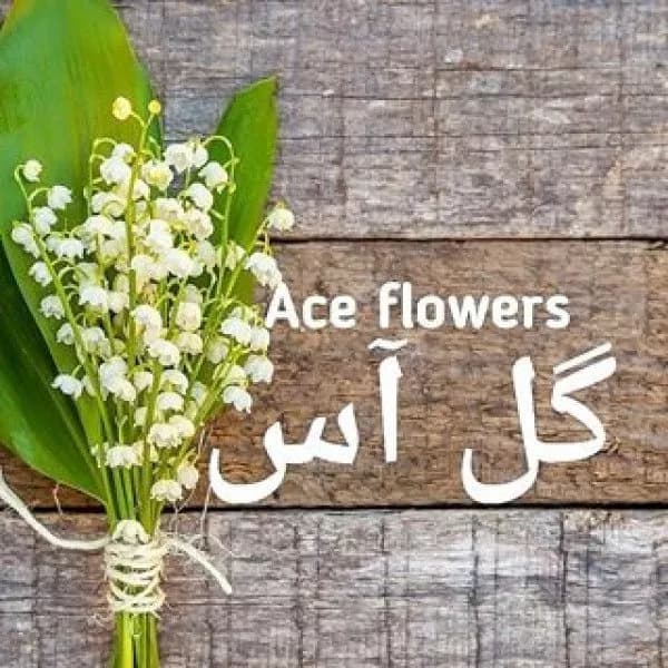 آموزشگاه هنرهای تزئینی گل آس