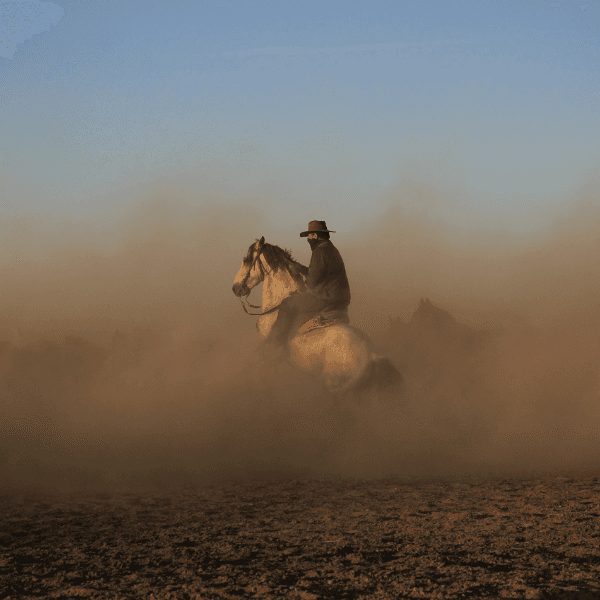 باشگاه سوارکاری کرمان بیس