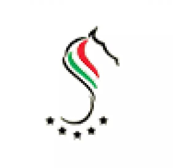 باشگاه سوارکاری سوران