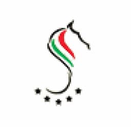 باشگاه سوارکاری سوران