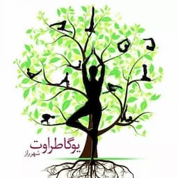 باشگاه یوگا طراوت شهر راز