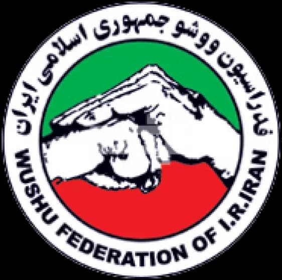 هیات ووشو
