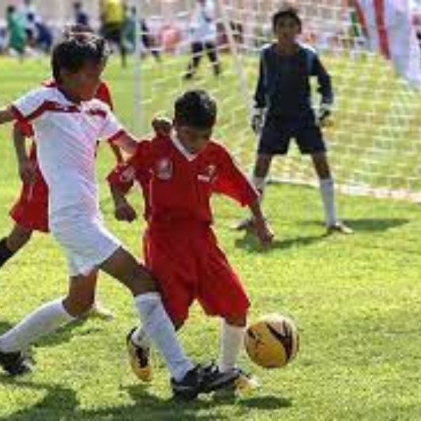 مدرسه فوتبال همای ایران