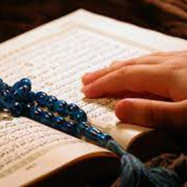 جامعه القرآن