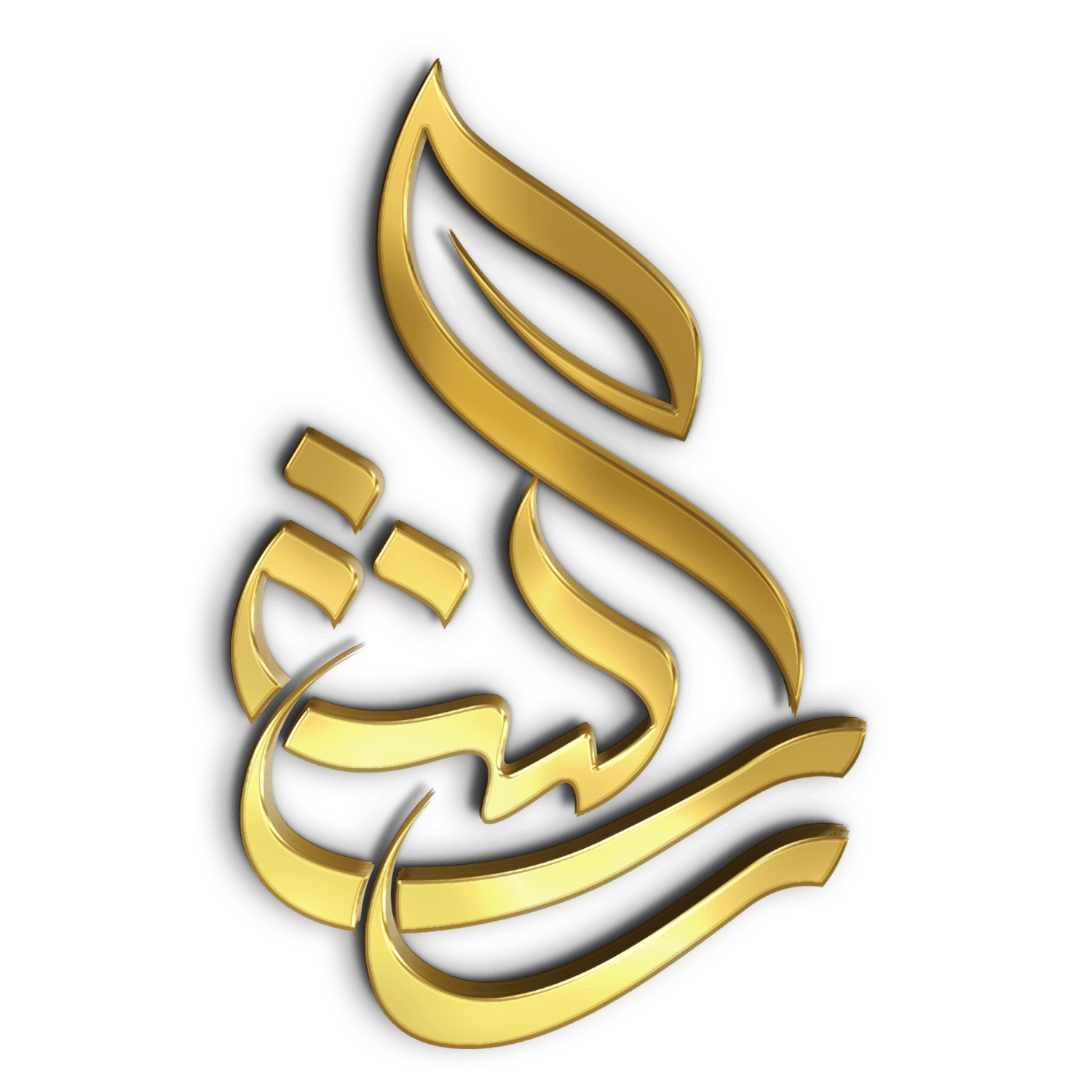 موسسه مهارتهای ارتباطی رسش