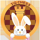 باشگاه شطرنج آی کیو