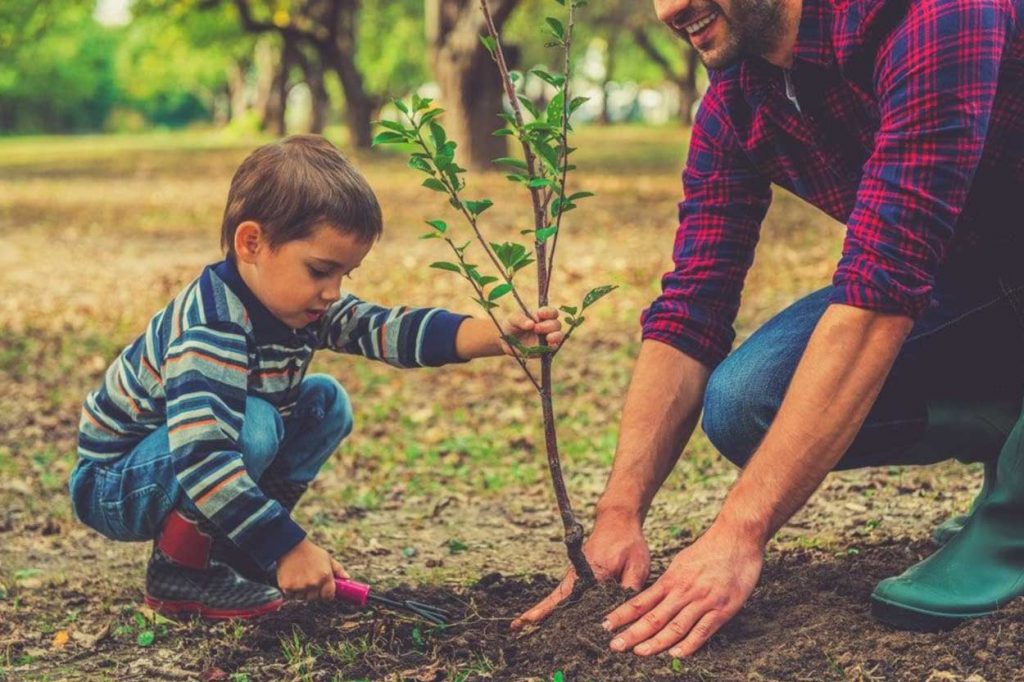آموزش درختکاری به کودکان