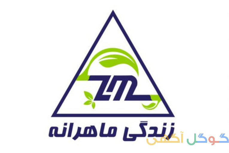 مرکز مشاوره زندگی ماهرانه